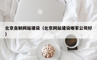 武夷山北京自制网站建设（北京网站建设哪家公司好）