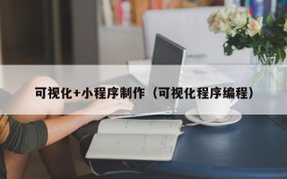 武夷山可视化+小程序制作（可视化程序编程）